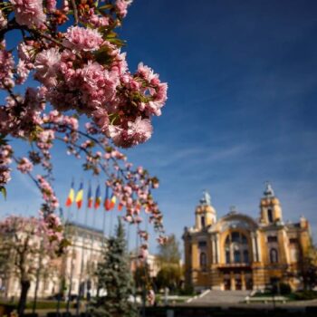 cluj-1-350x350