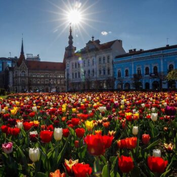 cluj3-350x350