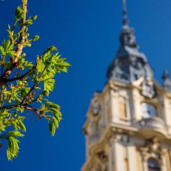 cluj8-350x350