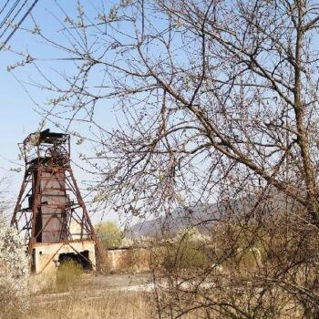 valea_jiului1-350x350