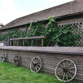 Charlotenburg7-350x350