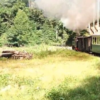 vaser-350x350