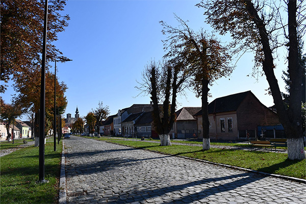 Dumbraveni | Sibiu County